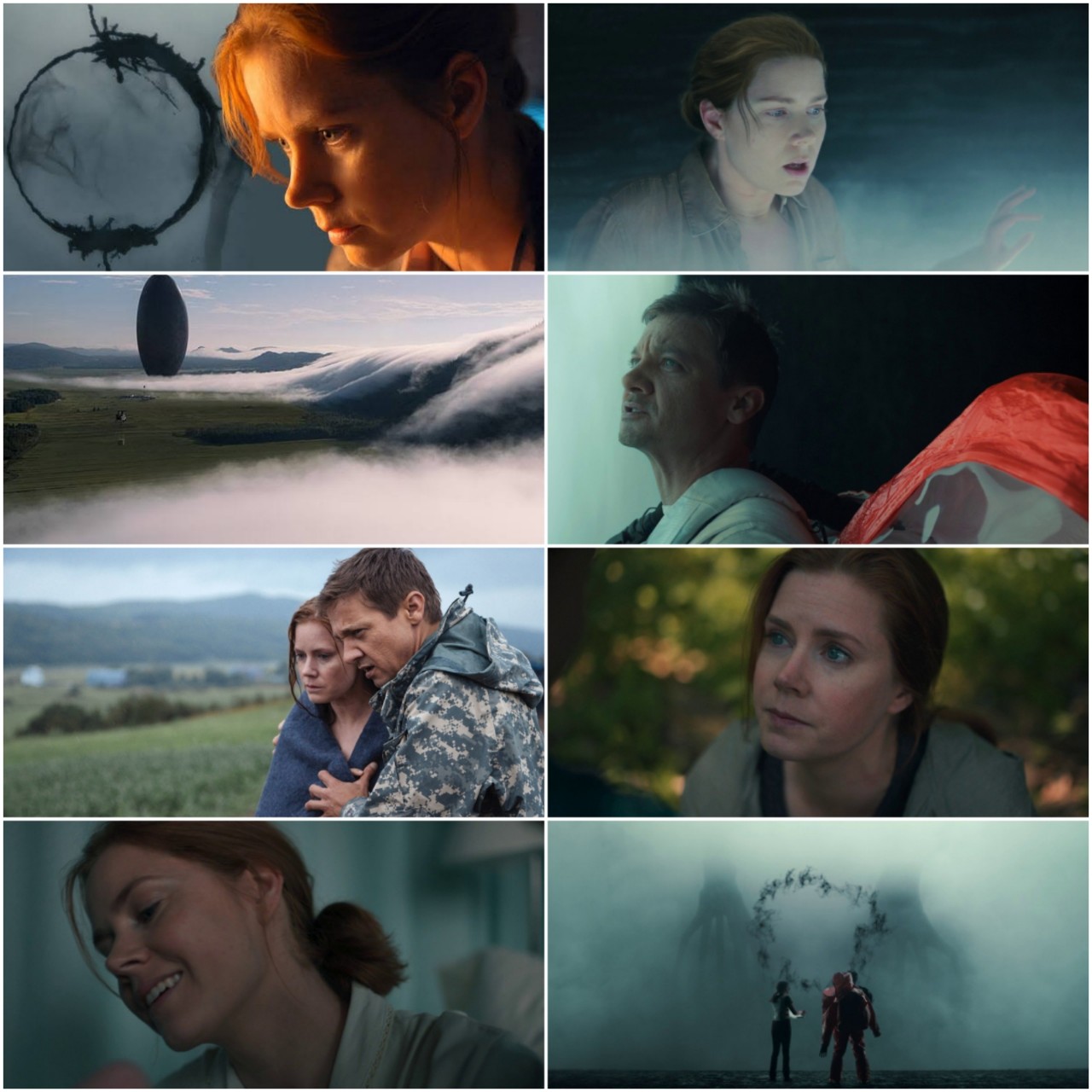 Arrival (2016) (Hindi + English} Dual Audio Full Movie BluRay ESub screenshot